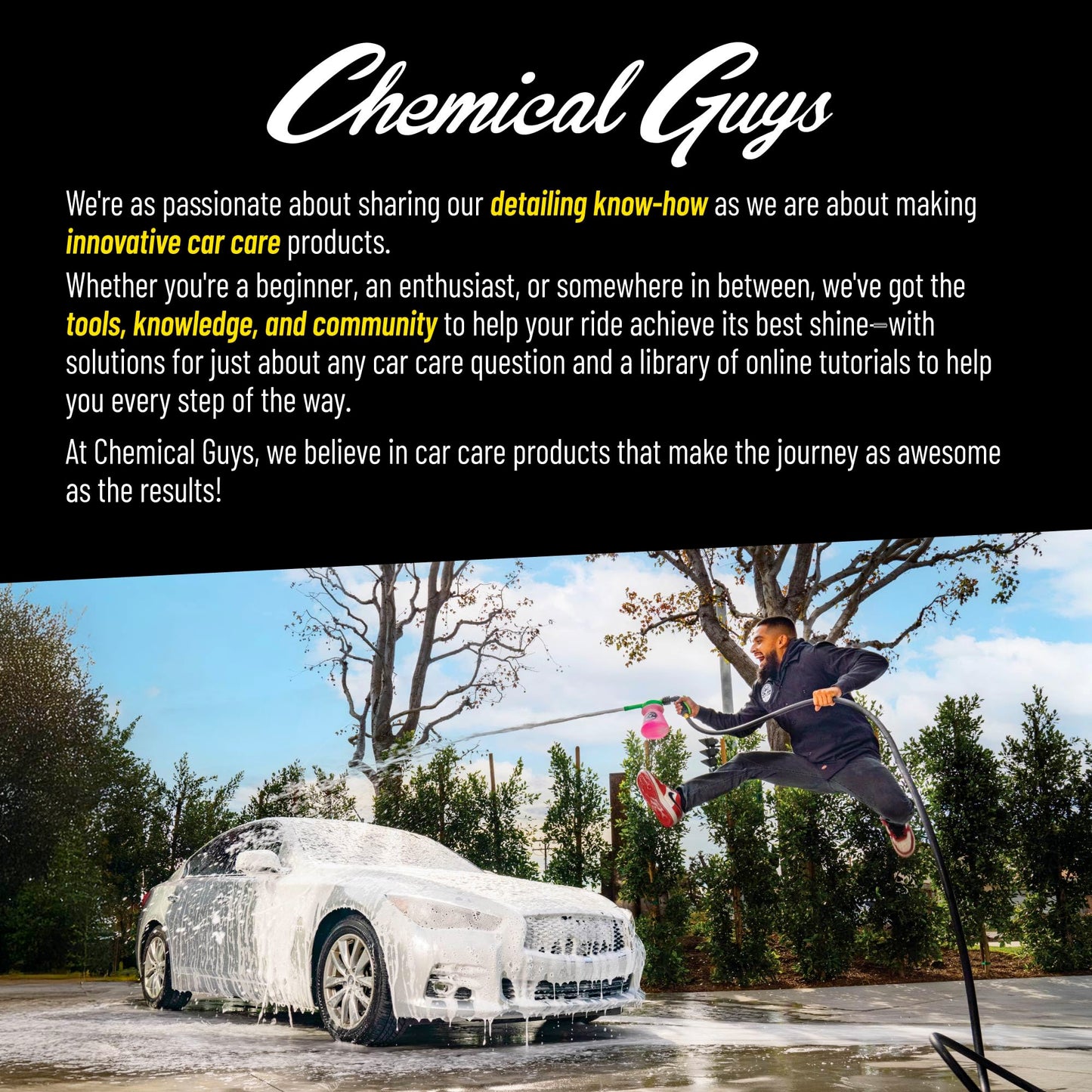 Chemical Guys Wheelie All Exterior Surface and Wheel Brush (Safe for Cars, Trucks, SUVs, RVs, Motorcycles, & More) Green π All In One Marketplace Canada