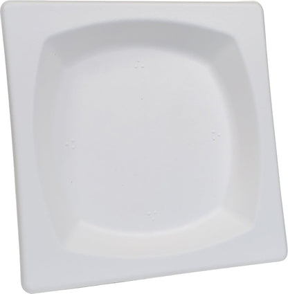 Eco-Craze - 6" Square Plate - Biodegradable