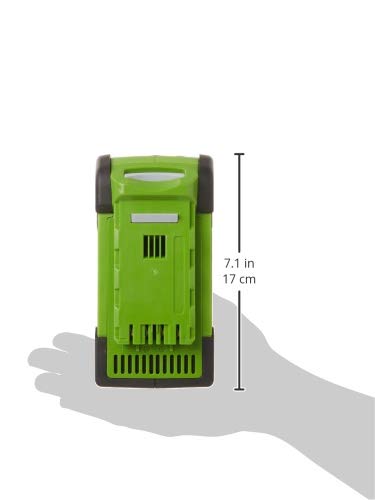 Greenworks 40V 2.0 Ah Lithium Ion Battery 29652, Green/Black