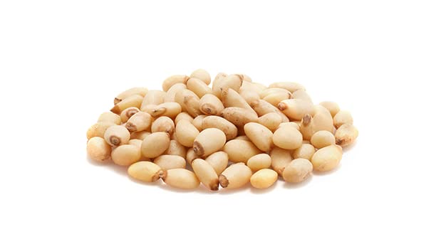 Yupik Pine Nuts – 1 kg Raw Shelled Kernels, Gluten-Free, Kosher, Unsalted & Unroasted