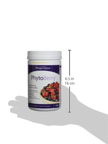 Progressive PhytoBerry Antioxidant Superfood Powder Natural Berry Flavour, Canadian-Made with 40 Fruit Concentrates, Phytonutrients, organic Acai berry, and Plant Oils for Complete Free-Radical Defence, Vegan, Gluten-Free, and All Natural, 450 g