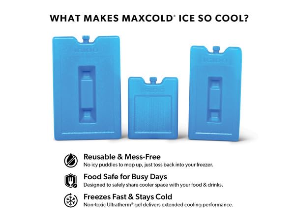Igloo Medium MaxCold 2 Pack Ice Blocks, Reusable Ice Packs for Coolers, Freezer Packs, Long Lasting Ice Blocks