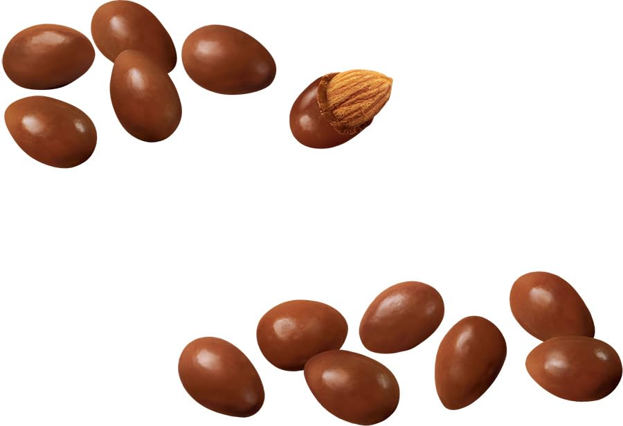 GLOSETTE Almonds, Chocolate Covered Candy, Valentines Candy, Chocolate Candy for Sharing, Perfect for Movies, 42g (Box of 18)