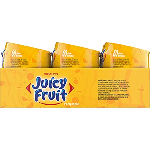 Juicy Fruit Chewing Gum - Fruit Flavored, 60 Pieces, 6 Bottles