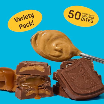AWAKE Caffeinated Chocolate Bites Variety Pack - 50mg Caffeine, 50 Count (Peanut Butter, Milk & Caramel)