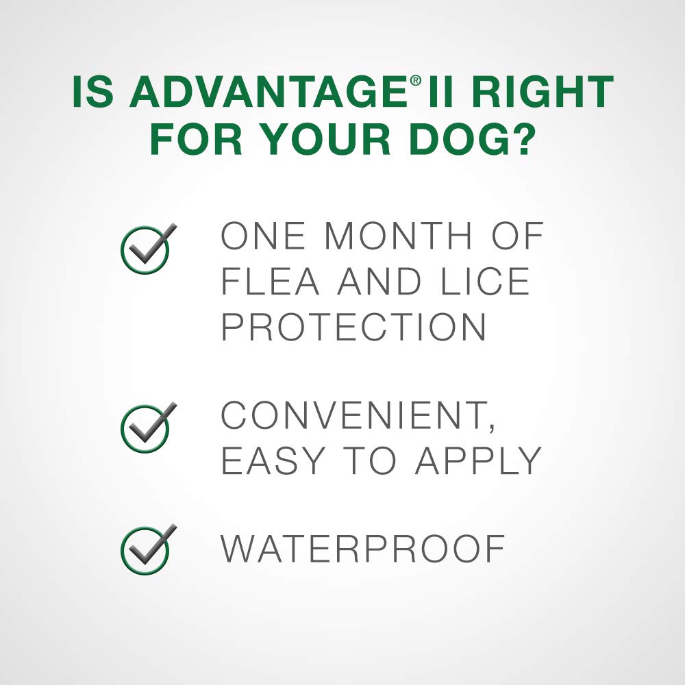 Advantage II - Flea Protection - Large Dog - Vet Recommended - 2-pack Advantage