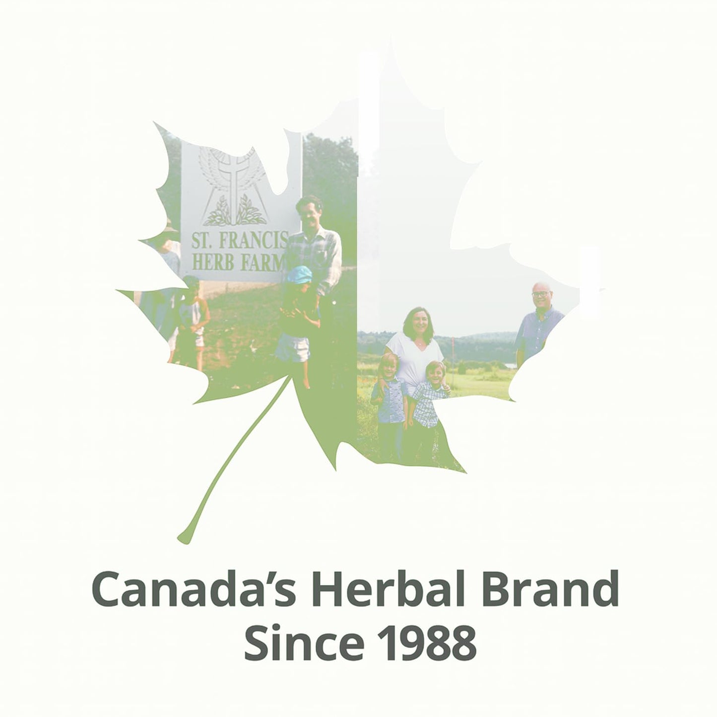 ST FRANCIS HERB FARM Castor Oil (500ml) USDA Certified Organic, Cold Pressed, Hexane-Free, GMO Free, Vegan, Vegetarian, Sealed in Protective Amber Glass (1 Bottle) Hair, Skin, and Nail Care - Available at All In One Marketplace Canada