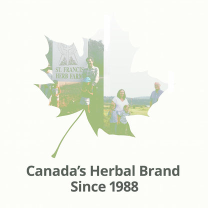 ST FRANCIS HERB FARM Castor Oil (500ml) USDA Certified Organic, Cold Pressed, Hexane-Free, GMO Free, Vegan, Vegetarian, Sealed in Protective Amber Glass (1 Bottle) Hair, Skin, and Nail Care - Available at All In One Marketplace Canada