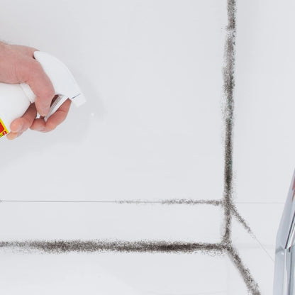 HG Mould Remover Foam Spray 500 ml - Immediately Eliminates All Moulds - Making Filthy Black Stains Disappear,White