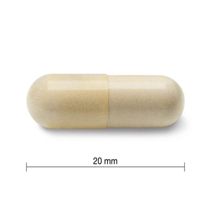 Jamieson Glucosamine 500 mg, Provides Joint Pain Relief, Osteoarthritis Support, and Cartilage Deterioration Protection. Non-GMO, Gluten-Free, 360 Capsules, Proudly Canadian Jamieson