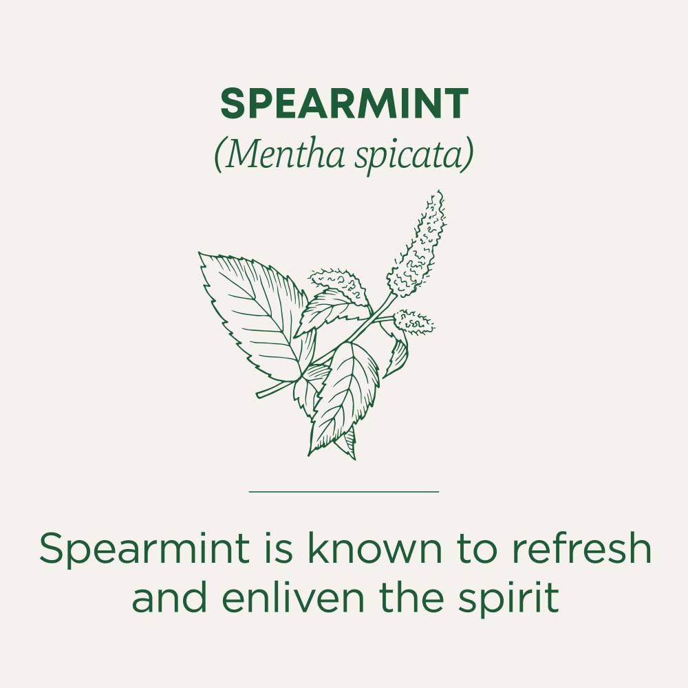 Traditional Medicinals Organic Spearmint Herbal Tea – 6 Pack (96 Tea Bags)
