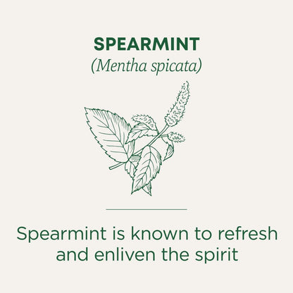 Traditional Medicinals Organic Spearmint Herbal Tea – 6 Pack (96 Tea Bags)