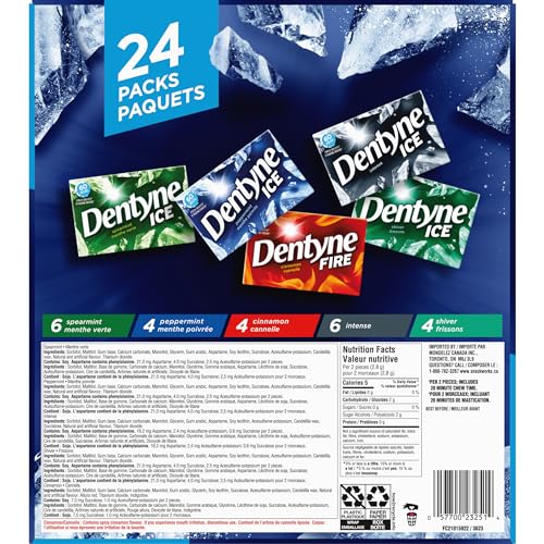 Dentyne Ice Assorted Sugar-Free Gum - 24 Pack (288 Pieces)