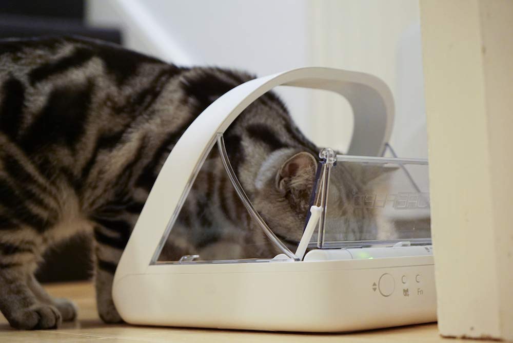 Sure Petcare - SureFeed Microchip Pet Feeder - The Automatic Pet Feeder That Makes Meal Times Stress Free - Helps prevent food stealing - Great for Prescription and Weight Management Diets SureFlap