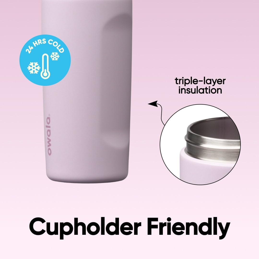 Owala FreeSip Insulated Stainless Steel Water Bottle with Straw, BPA-Free Sports Water Bottle, Great for Travel, 16 Oz, Lilac You A lot