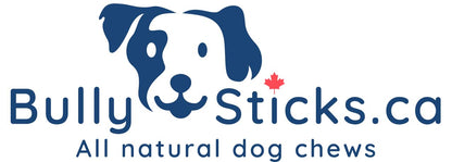 ODOURFREE 12" Standard Bully Sticks for Dogs (10 Pack) Dental Chew - Rawhide Free - Supports Dental Hygiene - Single Beef Ingredient - Consistent Size - Canadian Company