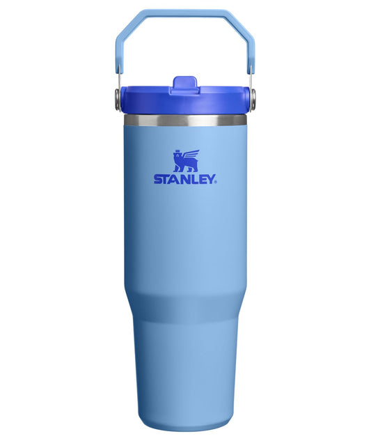 STANLEY IceFlow 2.0 Flip Straw Tumbler with Handle 30 oz | Twist On Lid and Flip Up Straw | Leakproof Water Bottle | Insulated Stainless Steel | BPA-Free | Blue Sky 🍁 All In One Marketplace Canada