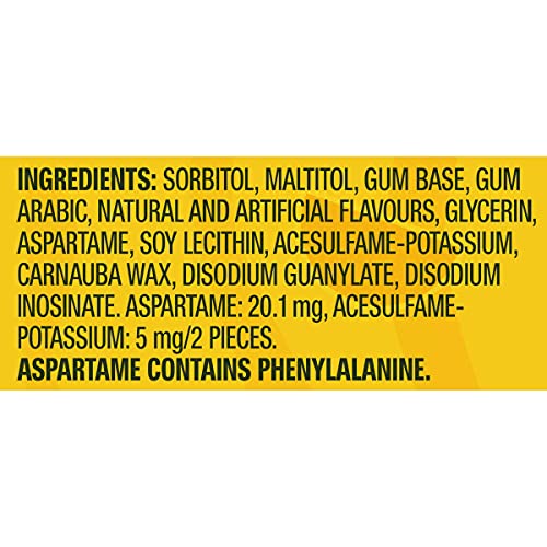 Juicy Fruit Chewing Gum - Fruit Flavored, 60 Pieces, 6 Bottles