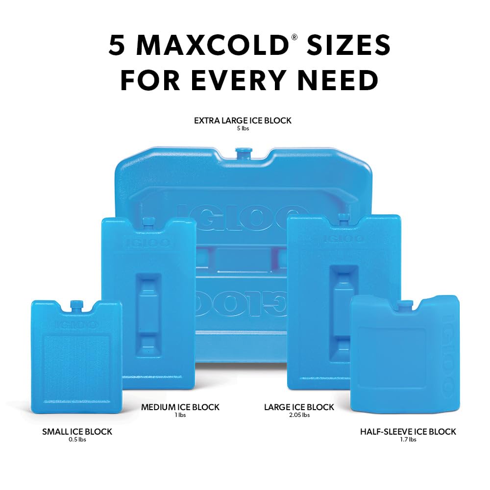 Igloo Maxcold Ice Block,2 Pieces, Ice Block