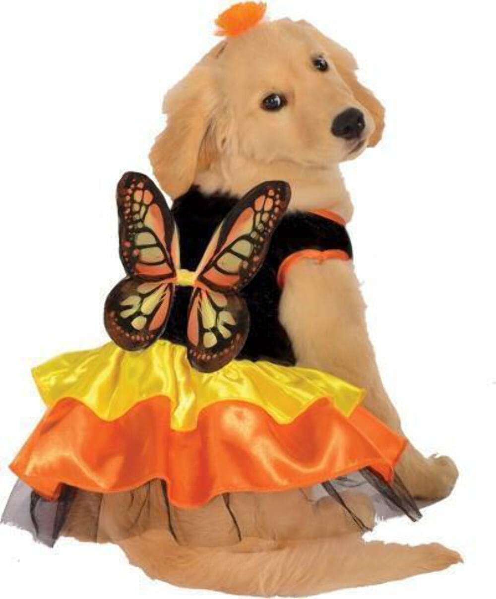 Costume pour animal de compagnie Collection Halloween Classics de Rubies Costume Co., Grand, Papillon monarque