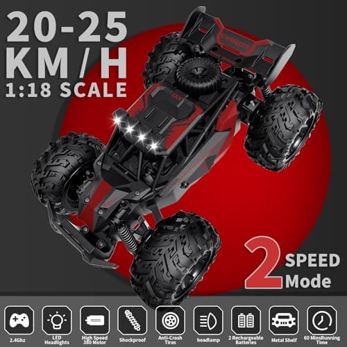 Carox 1:18 RC Car with 2 Batteries 25KM/H Remote Control Car for Kids 🍁 All In One Marketplace Canada