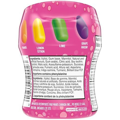 HUBBA BUBBA Minis, SKITTLES Flavoured, Sugar-Free Bubble Gum Resealable Bottle, 40 pieces, 6 Packs