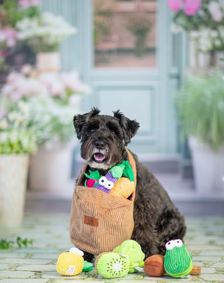Nocciola 15 Pack Grocery Bag Fruits and Vegetables Crinkle Dog Squeaky Toys, Small Dog Toys for Aggressive Chewers, Durable Plush Christmas Dog Toys for Small Medium Size Dogs, Puppy Dog Chew Toys 🍁 All In One Marketplace Canada