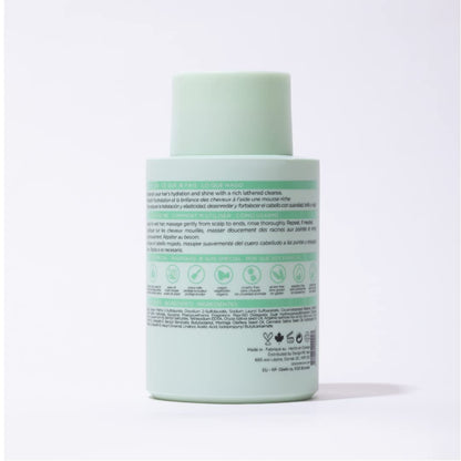 Design.Me GLOSS.ME Hydrating Shampoo | Hemp & Argan Oil Shampoo Adds Softness & Shine | Straight, Wavy, or Curly Hair Shampoo | Sulfate-Free & Color-Safe Moisturizing Shampoo for Dry Hair, 10 Fl Oz - Available at All In One Marketplace Canada