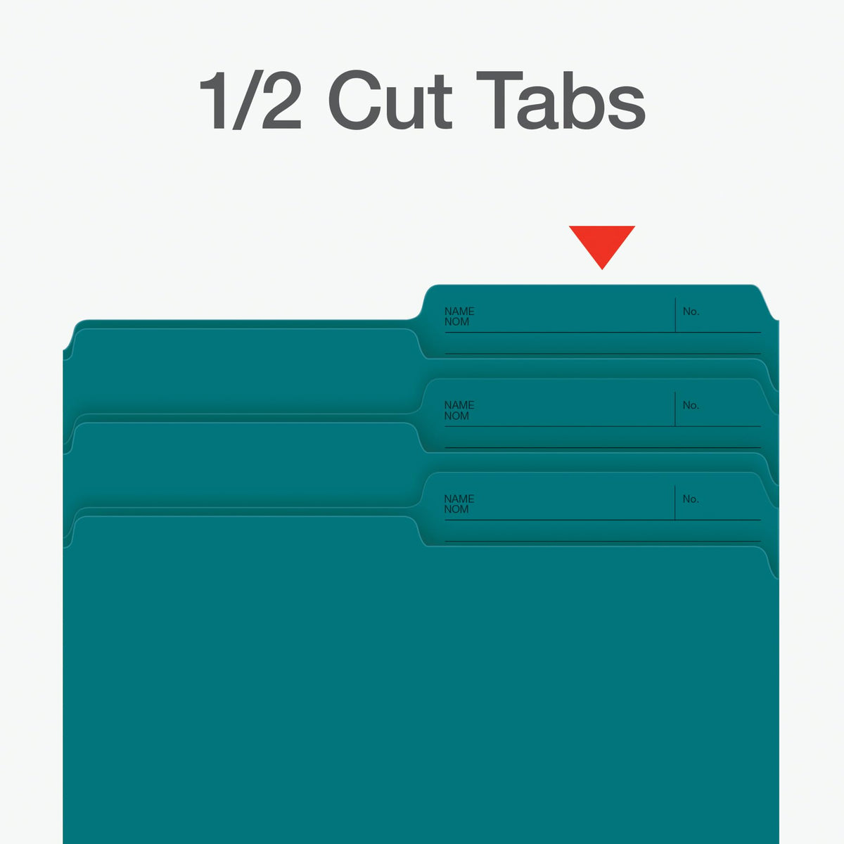 Pendaflex File Folders, 1/2 Cut Tab, Letter Size, Teal, Durable Paper Stock, 100/Box, Ideal for Office/Home/School Organization, Made in Canada, Reversible File Organizers