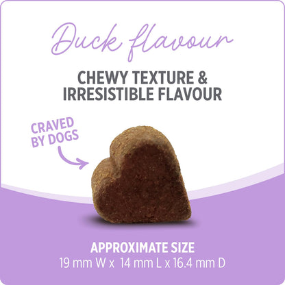 Nutrience Care® Hip & Joint Dog Supplement, 100 Soft Chews, 400 g Nutrience