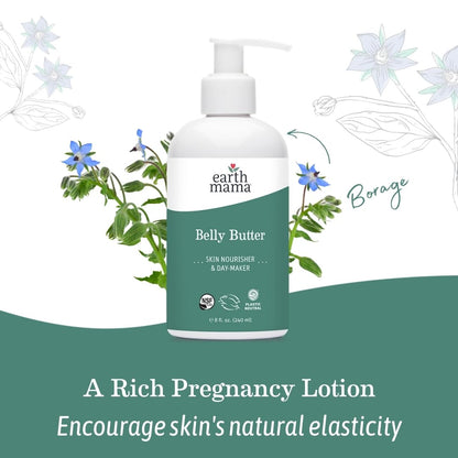 Earth Mama - Belly Butter - 240 ml Earth Mama Angel Baby