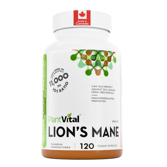 PlantVital Lions Mane - Made in Canada - Max Potency 11,000mg (10:1 Extract) - Organic Lion’s Mane Mushroom Supplements with 40% Polysaccharides - Supports Immune Health and Antioxidants -120 Capsules - Available at All In One Marketplace Canada
