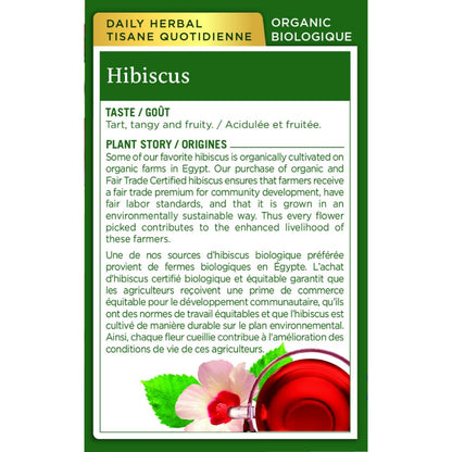 Traditional Medicinals - Tisane biologique d'hibiscus (Paquet de 6) - Ingrédients issus du commerce équitable - Acidulée, piquante et fruitée - 96 sachets de thé au total
