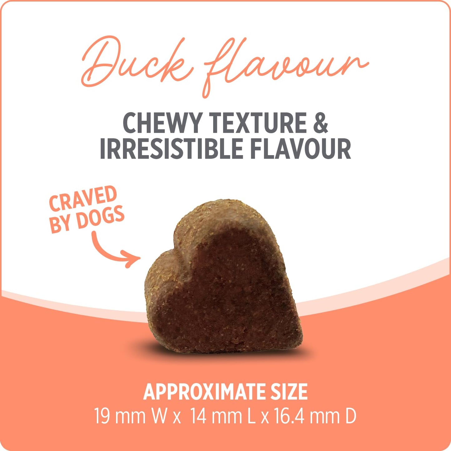 Nutrience Care® Probiotic+ Dog Supplement, 100 Soft Chews, 400 g Nutrience