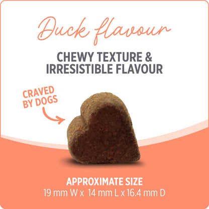 Nutrience Care® Probiotic+ Dog Supplement, 100 Soft Chews, 400 g Nutrience