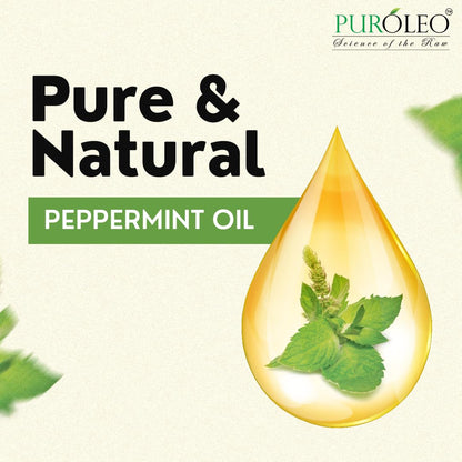 PUROLEO Peppermint Essential Oil 8 Fl Oz/236 ML (Packed in Canada), 100% pure, natural, undiluted. Ideal for aroma, candle making, perfumes, fragrance oils, diffusers, and huile essentielle pour diffuseur. 🍁 All In One Marketplace Canada