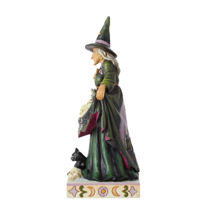 Enesco Jim Shore Heartwood Creek Halloween Scary Witch Skirt with Skulls Figurine, 9.75 Inch, Multicolor