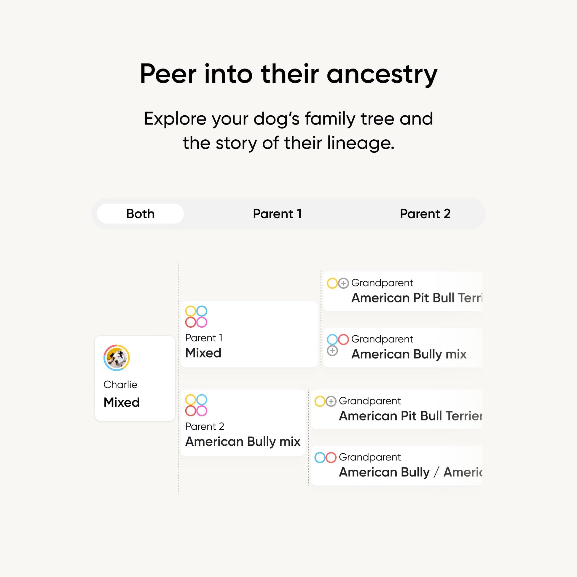 Embark Breed Identification Kit Most Accurate Dog DNA Test Test 350+ Dog Breeds Breed ID Kit with Ancestry & Family Tree - Available at All In One Marketplace Canada