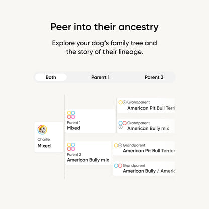 Embark Breed Identification Kit Most Accurate Dog DNA Test Test 350+ Dog Breeds Breed ID Kit with Ancestry & Family Tree - Available at All In One Marketplace Canada