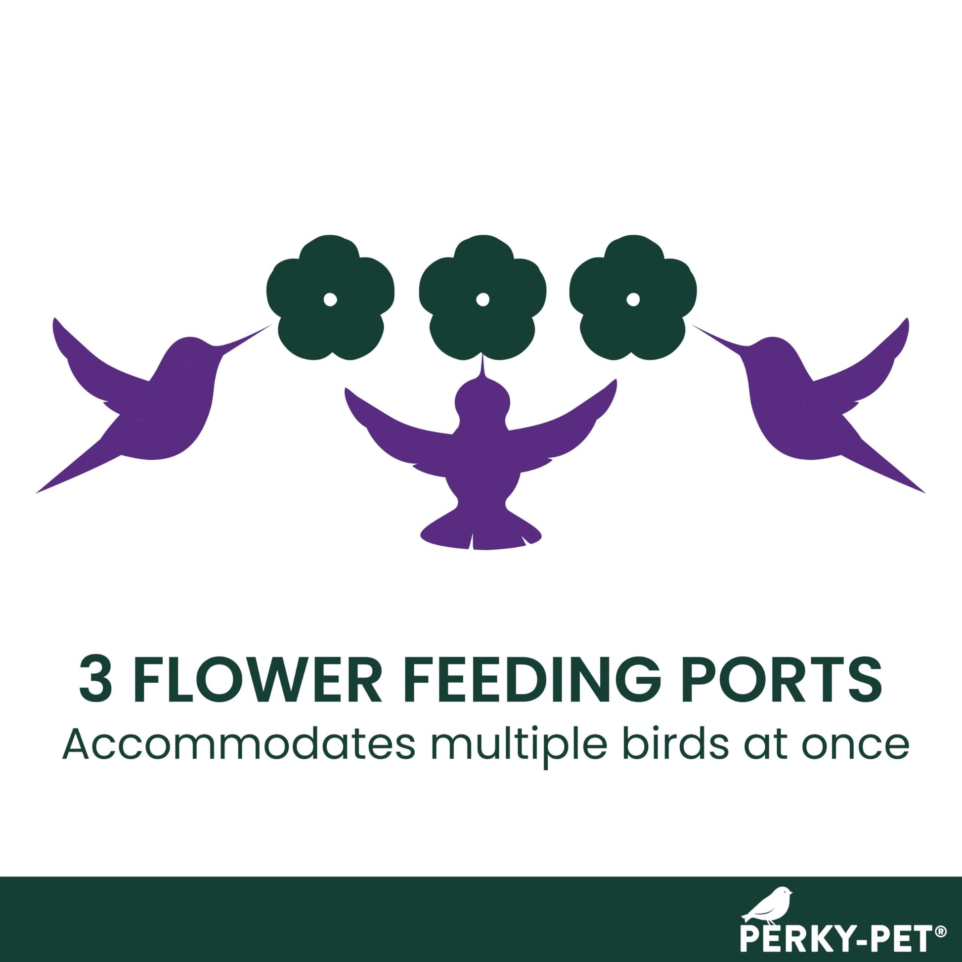 Perky-Pet 8-Ounce Window Mount Hummingbird Feeder 217 Perky-Pet
