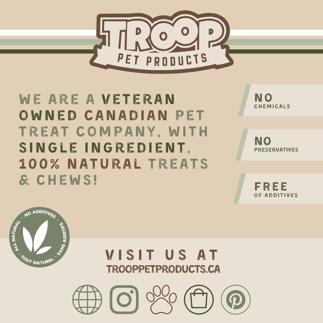 Troop Pet Products, Canadian Herring Oil, Natural Omega 3 Supplement for Improved Stamina, Immune System, Decreased Shedding, (1000ml) Troop Pet Products