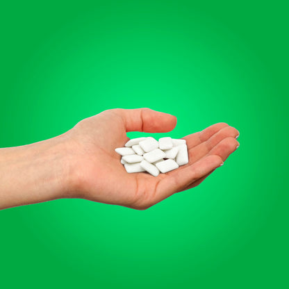 PUR Gum, Spearmint, Xylitol Gum, No Artificial flavour, 660 Count (12x55)