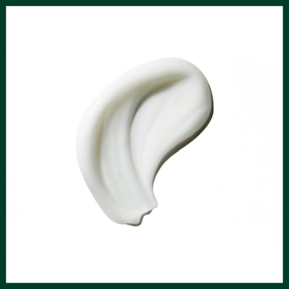 Aveda Be Curly Advanced Curl Enhancer Cream | Defines Curly and Wavy Hair | Reduces Frizz, Adds Shine | Silicone Free | 98% Naturally Derived*, 200ml - Available at All In One Marketplace Canada