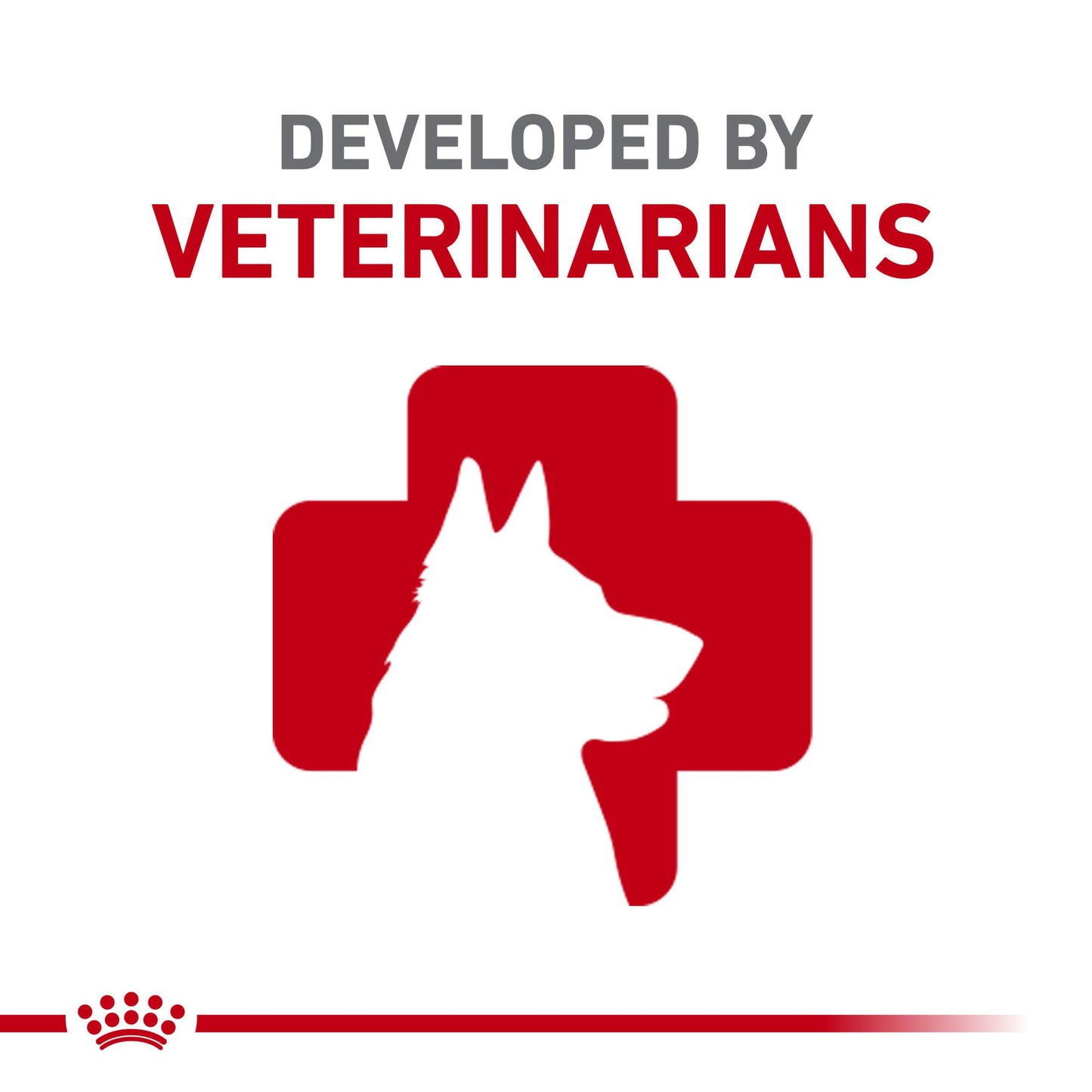 Royal Canin Size Health Nutrition Medium Puppy Dry Dog Food, 4 lb ROYAL CANIN
