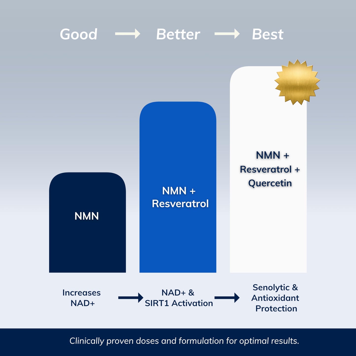 NMN w/Quercetin & Resveratrol For Enhanced NAD+ Levels - More Effective Than NMN Alone, High Purity 99% Nicotinamide Mononucleotide & Resveratrol For Cellular Health, NAD Supplement, 60 Capsules - Available at All In One Marketplace Canada