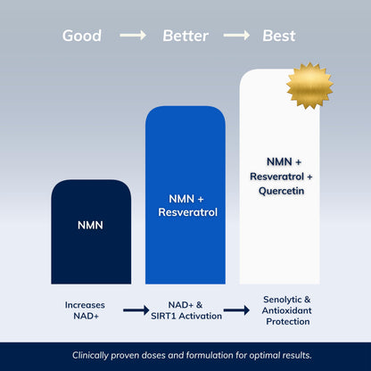 NMN w/Quercetin & Resveratrol For Enhanced NAD+ Levels - More Effective Than NMN Alone, High Purity 99% Nicotinamide Mononucleotide & Resveratrol For Cellular Health, NAD Supplement, 60 Capsules - Available at All In One Marketplace Canada