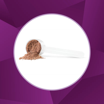 Progressive PhytoBerry Antioxidant Superfood Powder Natural Berry Flavour, Canadian-Made with 40 Fruit Concentrates, Phytonutrients, organic Acai berry, and Plant Oils for Complete Free-Radical Defence, Vegan, Gluten-Free, and All Natural, 450 g