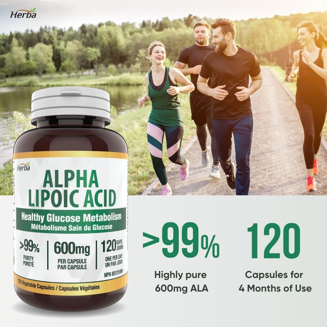 Herba Alpha Lipoic Acid 600mg – 120 Capsules | >99% Ultra Pure | Made in Canada | Blood Sugar Support Supplement - Available at All In One Marketplace Canada