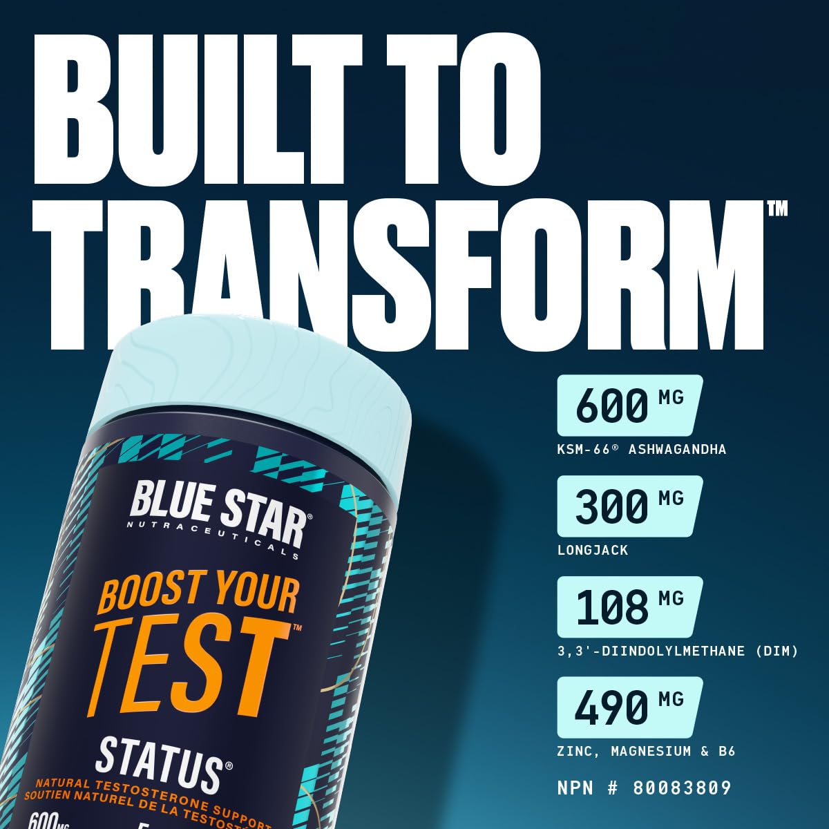 Blue Star Nutraceuticals Status - Natural Testosterone Support, Helps Increase Testosterone Levels & Muscle Strength, Clinically Researched Ingredients, 90 Veggie Caps, 30 Day Supply (NPN 80083809) - Available at All In One Marketplace Canada
