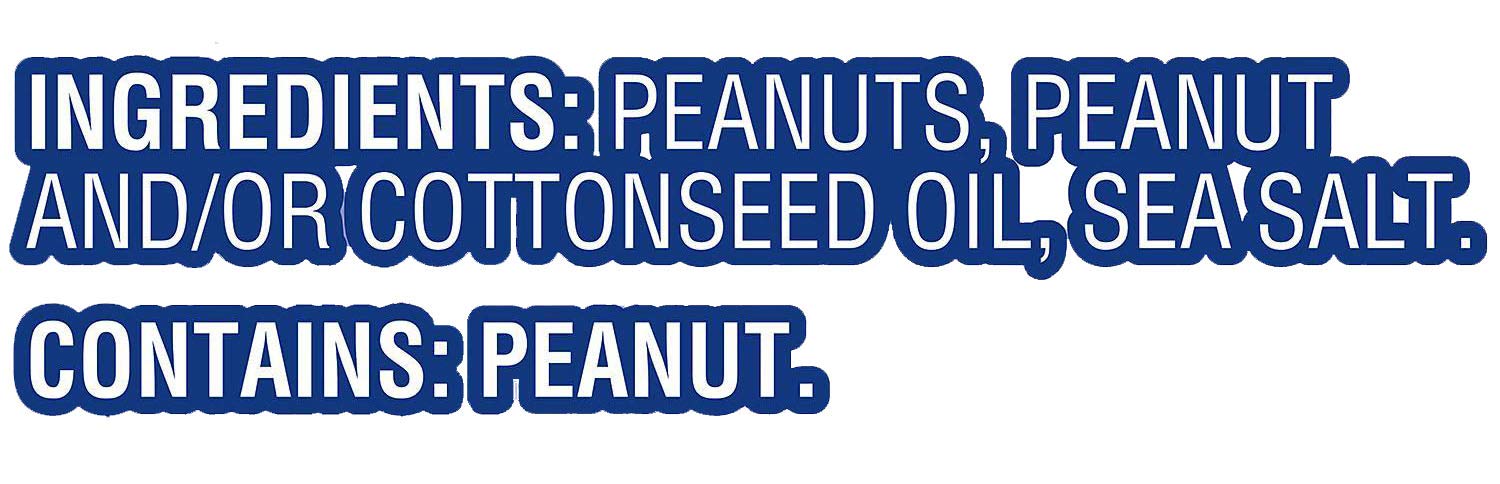 Planters Salted Peanuts - 48 Individual 1 oz. Bags